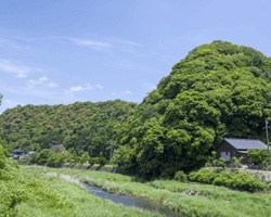 山口県常滑焼のサンプル画像